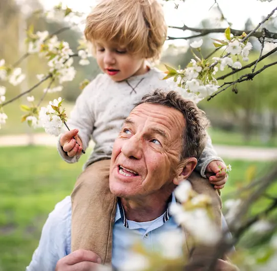 Senior grandfather with toddler grandson standing in nature in spring. An older man with his grandson on his shoulders.